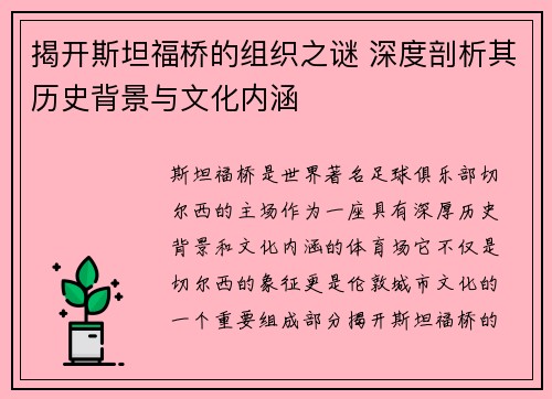 揭开斯坦福桥的组织之谜 深度剖析其历史背景与文化内涵 揭开斯坦福桥的组织之谜 深度剖析其历史背景与文化内涵
